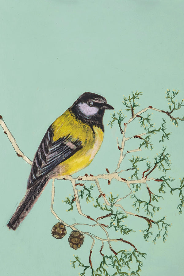 הדפסת נייר של ציור ציפור הירגזי