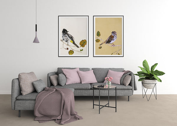 הדמיה של תמונות ממוסגרות ציורי ציפורים ציפור בולבלו וציפור דרור