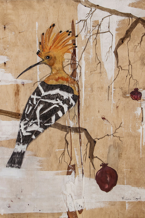הדפסת קנבס של ציור ציפור הדוכיפת