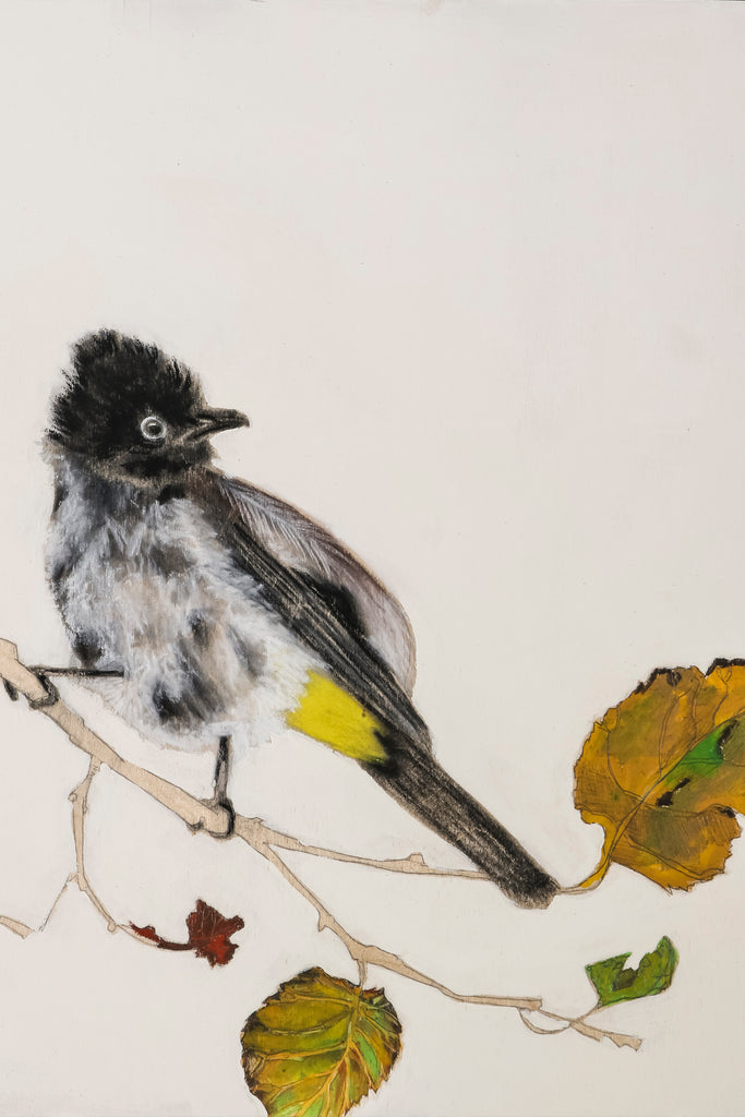 הדפסת קנבס של ציור של ציפור בולבול