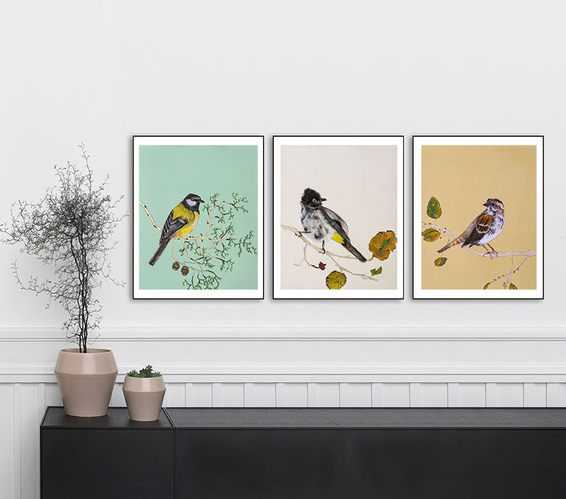 שלוש הדפסות נייר של ציפורים