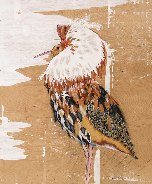 ציור מקורי על גבי דיקט של ציפור הלוחם