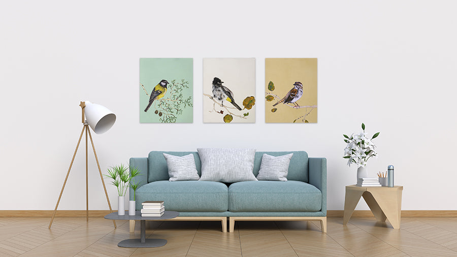 שלוש הדפסות קנבס של ציורי ציפורים