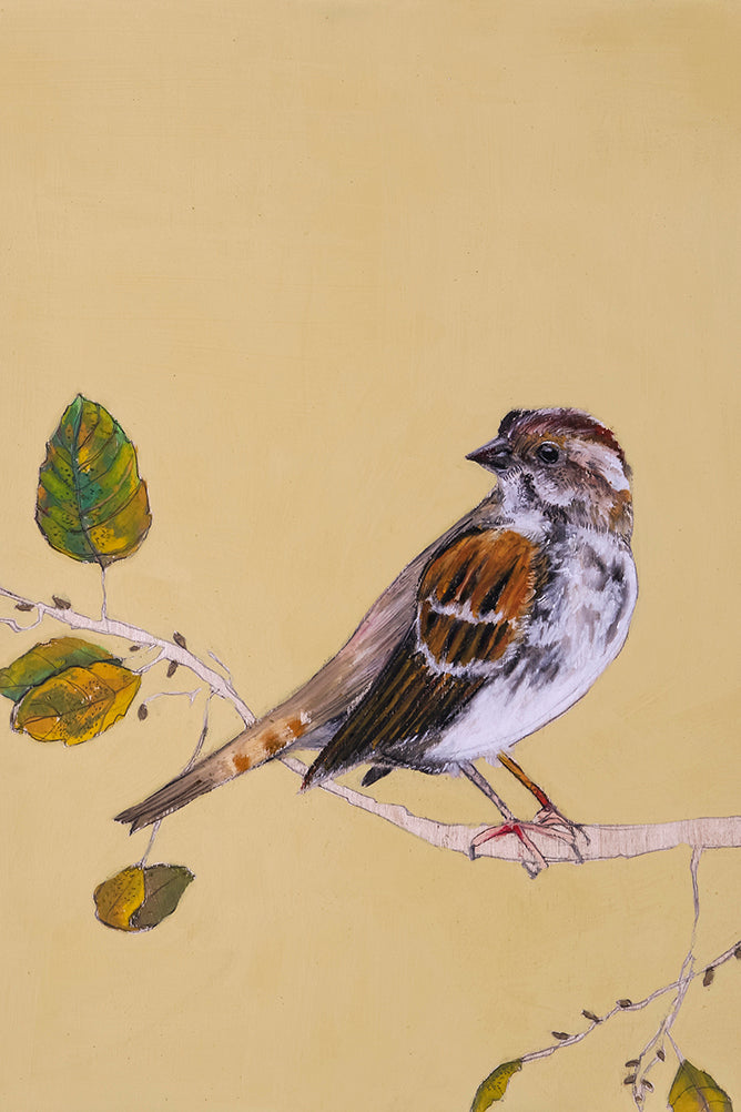 ציור של ציפור דרור - הדפסת קנבס